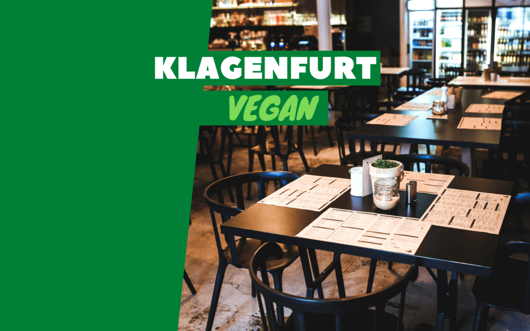 Vegan Essen in Klagenfurt: Unsere Top 6