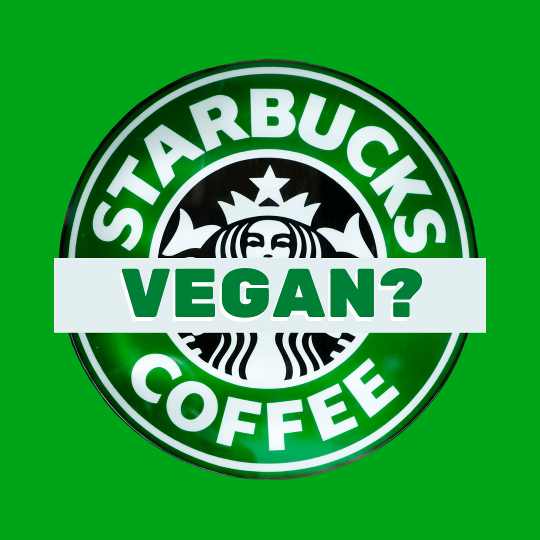 Starbucks vegan