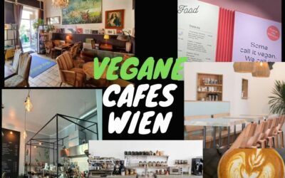 Vegane Cafes in Wien – Top 7 von 2024