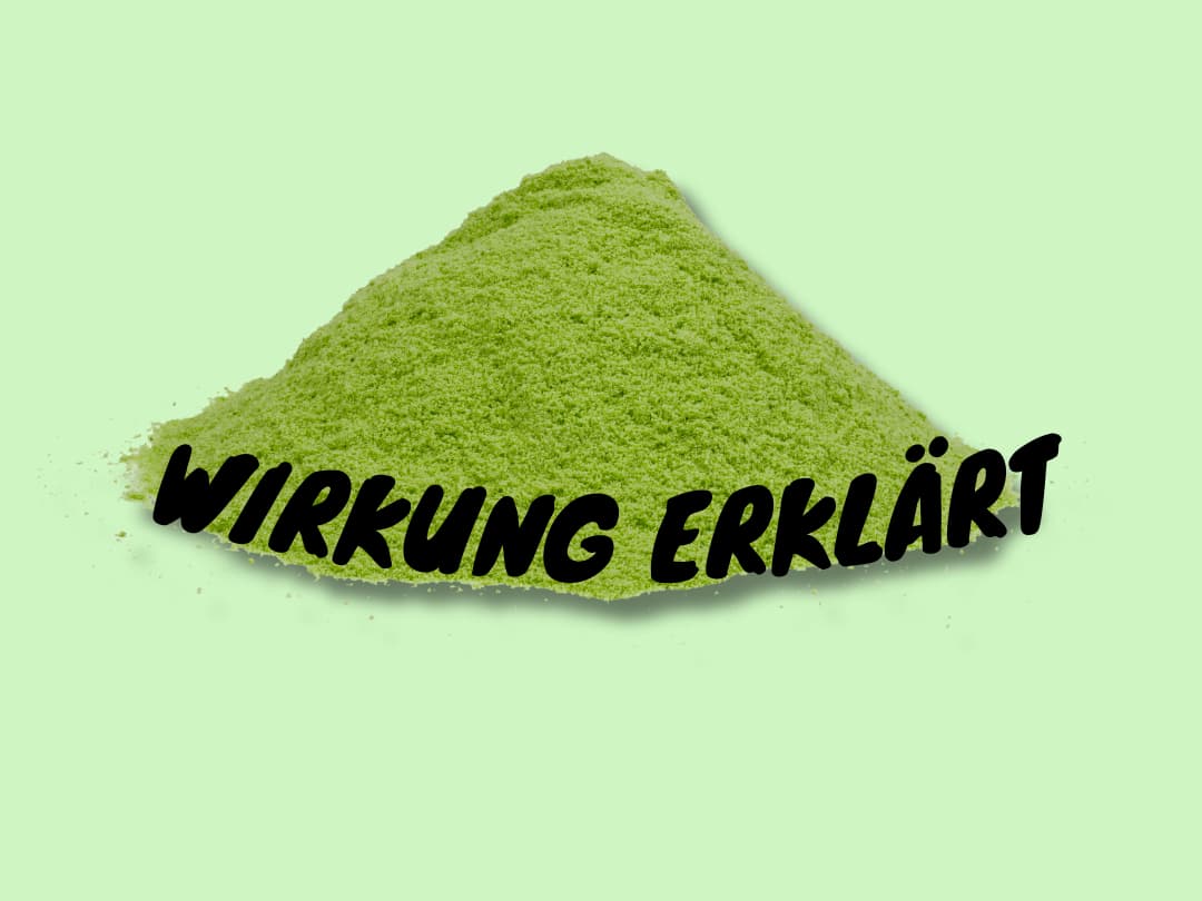 Wirkung von Matcha